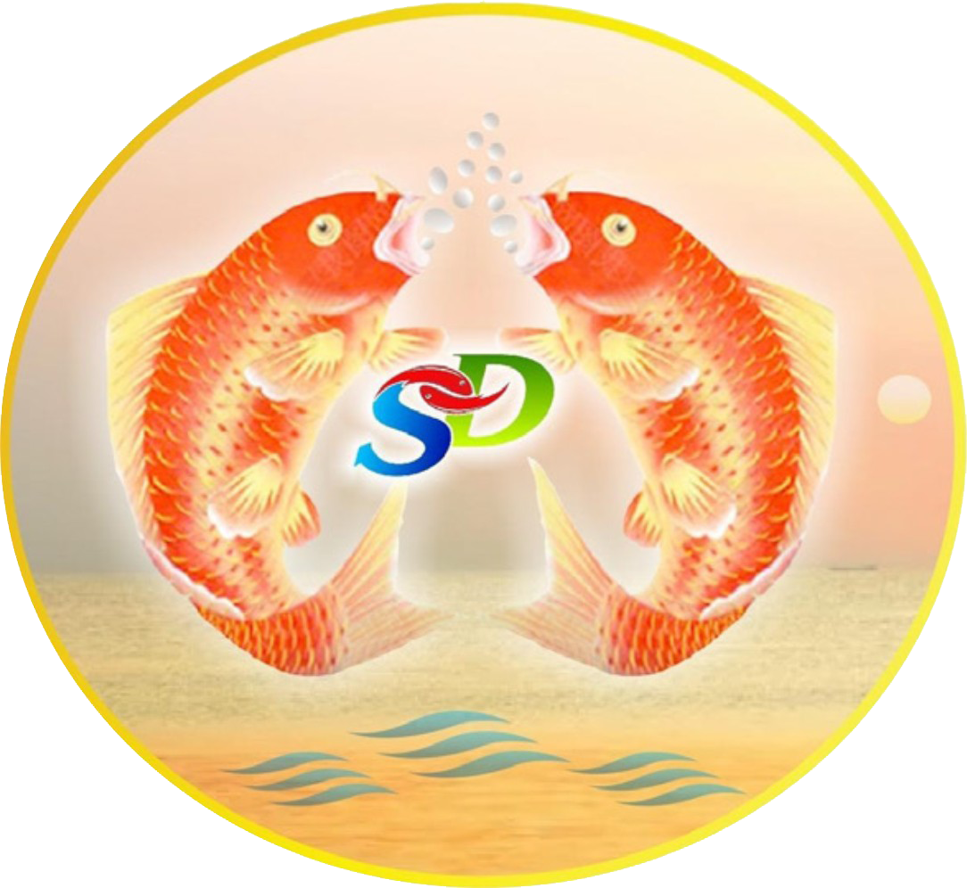 399780169_122116432178084591_77421392350453199_n